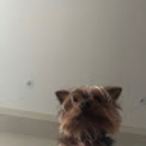 Meet your Posher, Adam